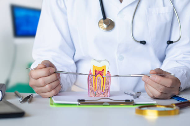 Best Emergency Dental Extractions in Mustang Ridge, TX